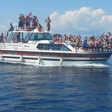 Pansion Antunovic Trpanj